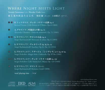 Where Night Meets Light